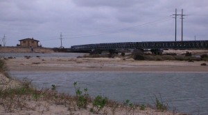 DSCN6587